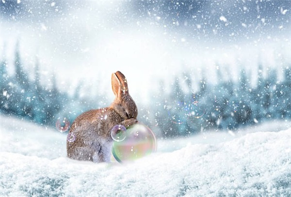 求一个微信群的网名