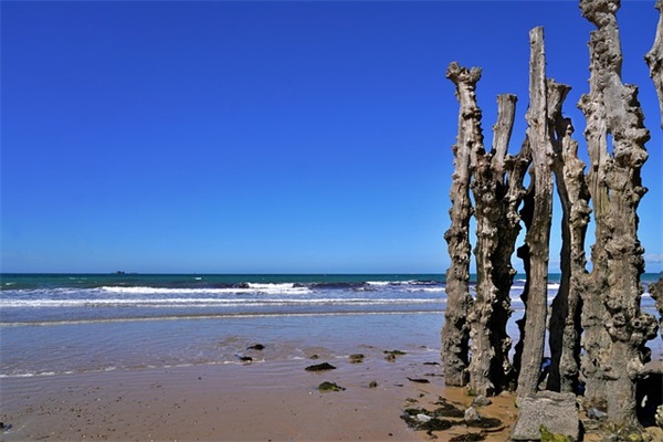 带雨微信网名百度贴吧