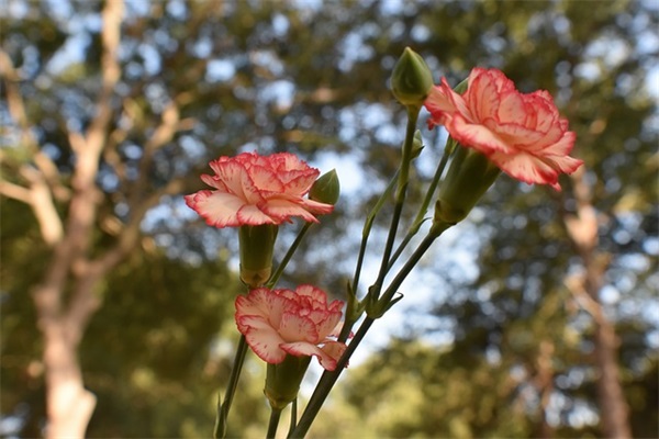 微信网名有气质内涵男