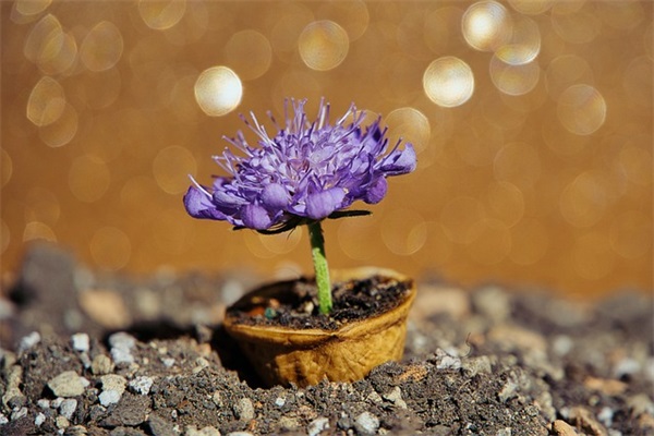 缘份已尽的微信网名