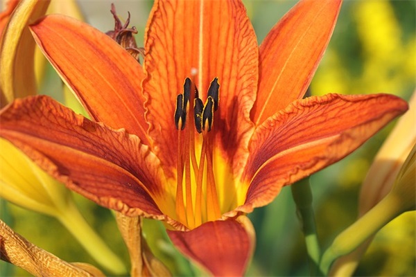 微信网名艾开头