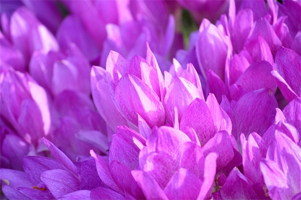 微信爱网名好听吗