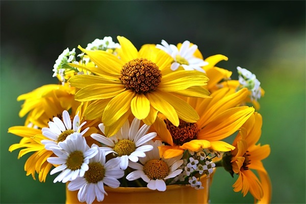 微信上怎么起网名