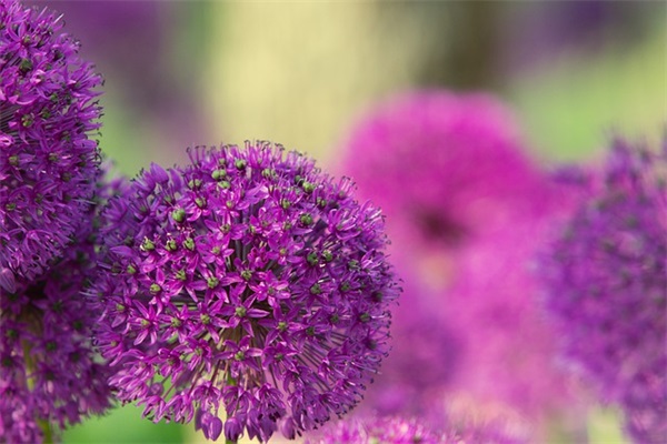 冷冷的男生网名大全