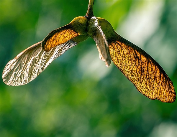 男生难受想哭的网名