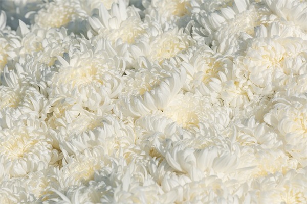 带名字缩写网名男生