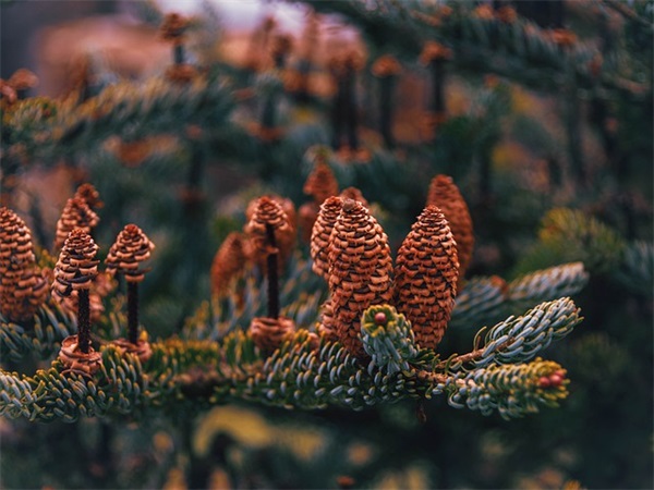 男生头像网名鹤辞