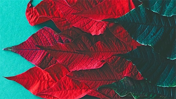 思念的男生网名