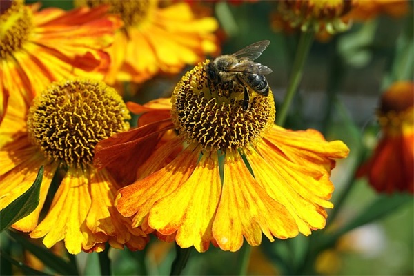 薛之谦有关的网名男生