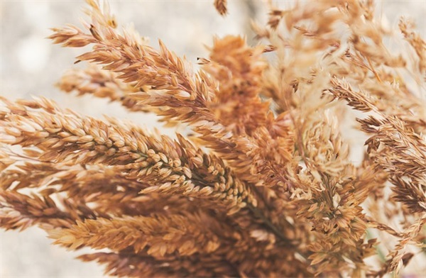 火柴人网名男生