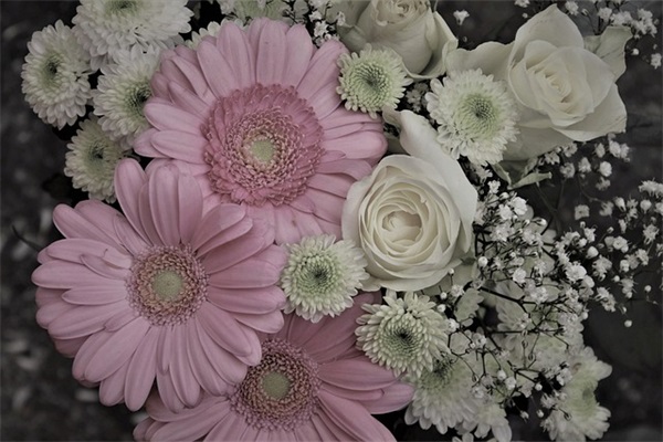 网名搞怪粤语男生名字