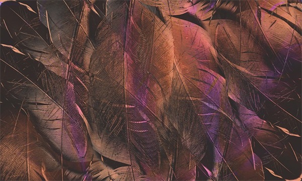 蜂窝蛋糕男生搞怪网名