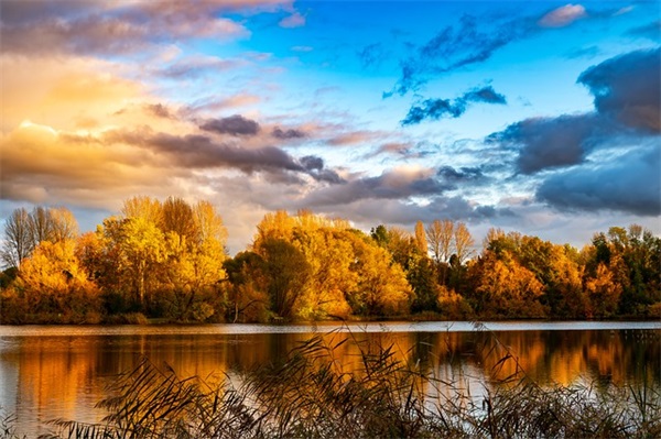 微信网名带阳的