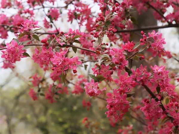 老人微信网名大