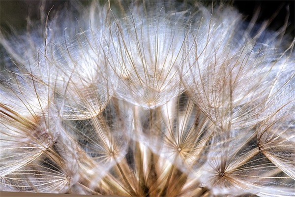 微信文艺男网名大全