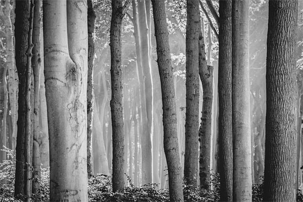 喜欢车的微信网名