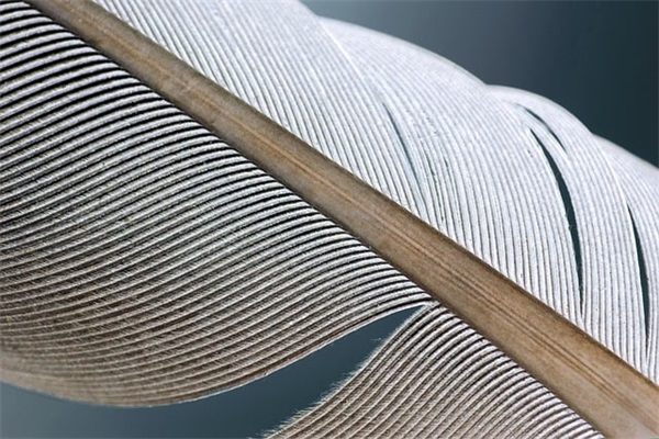 女成熟微信网名