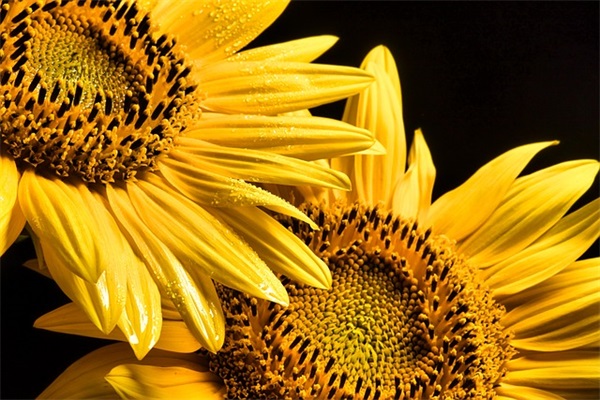 六个字微信网名