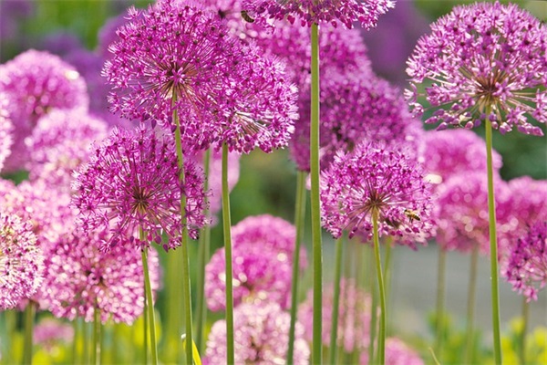 欧美范微信网名男生