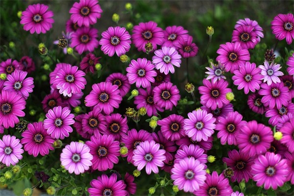 90后女生微信网名