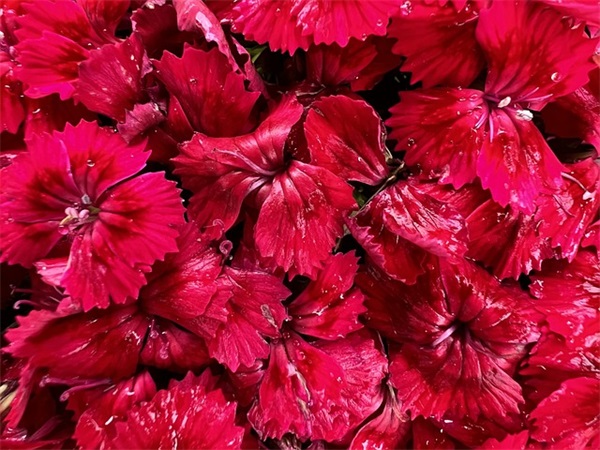 古风微信网名男