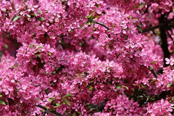 男士英文网名微信网名