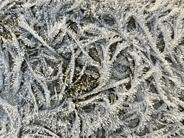 微信网名图片大全