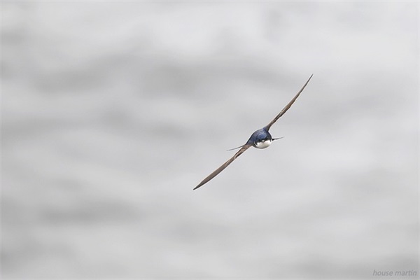 微信最新网名大全女生