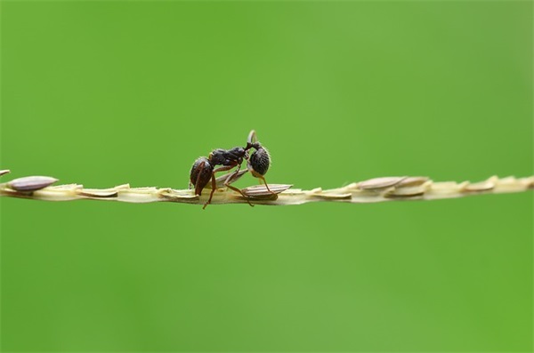 洋字微信网名大全