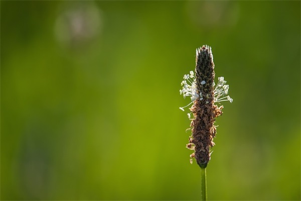 男生上进的网名