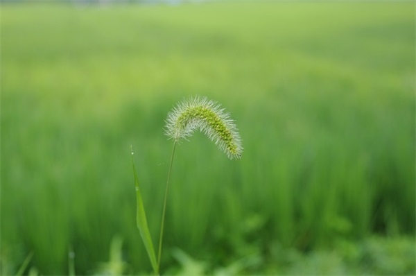 尤的姓氏网名大全男生