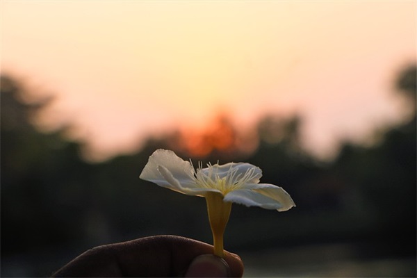 男生组合网名大全