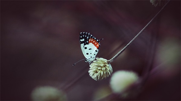 2025拉风男生网名