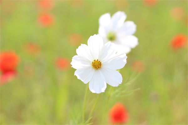代表冷漠的网名男生
