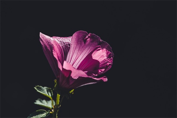 求繁体名字网名男生