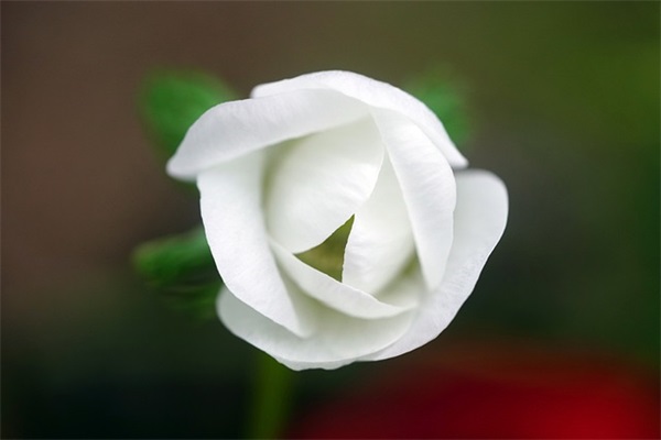 超绝男生网名大全