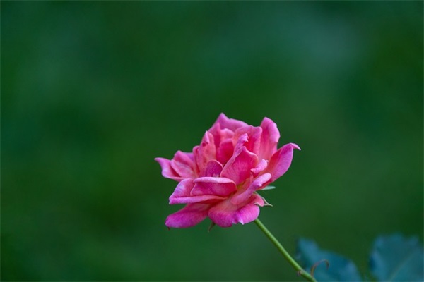 寻找男生网名大全