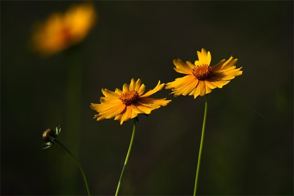 医药创业男生网名ins