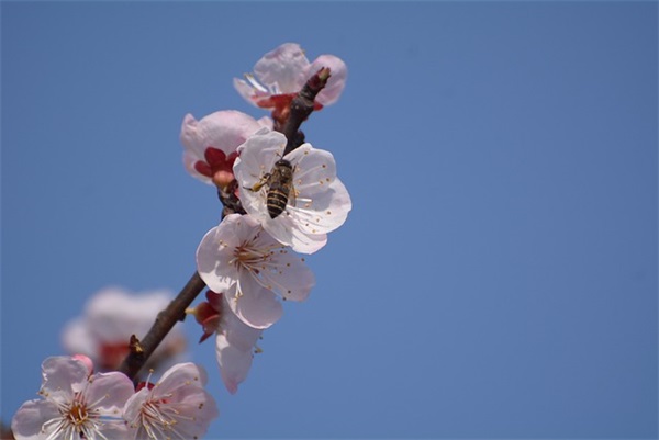 代平男生的网名