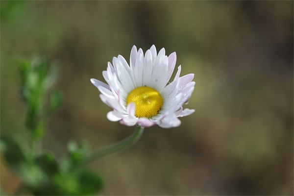 户外男生网名大全