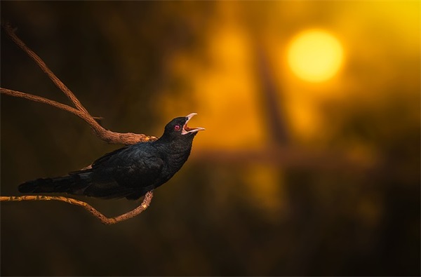推荐迷你男生网名大全