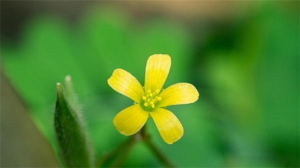 最新网名男生2025