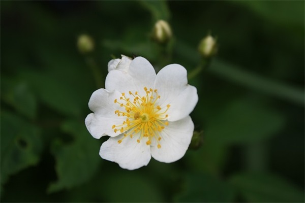 2025男生快手网名