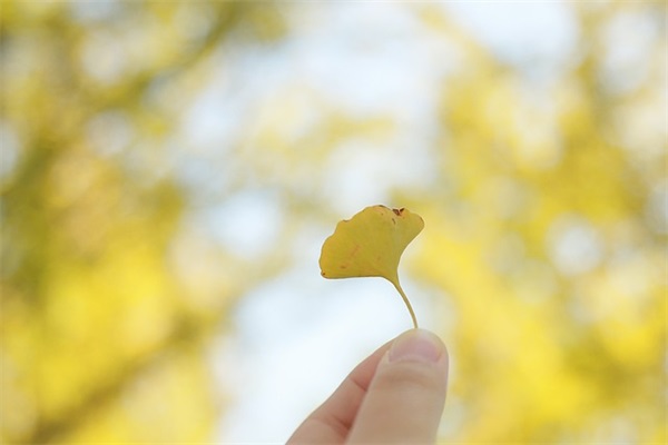 男生骚气的网名
