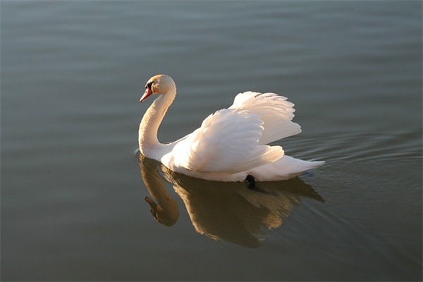 带风雨的网名男生
