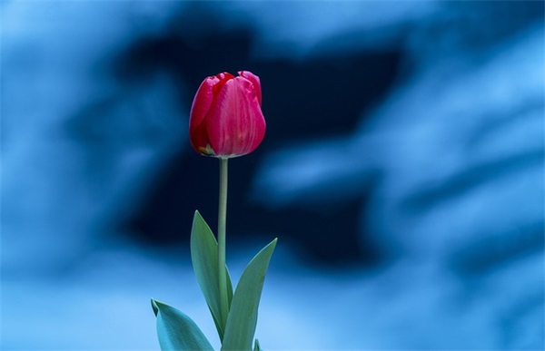 男生扣扣网名繁体字