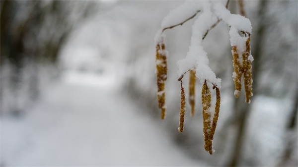 男生爱而不得网名