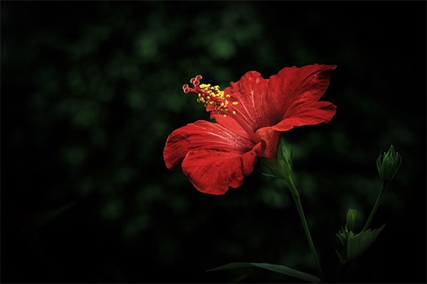 夏天的男生网名