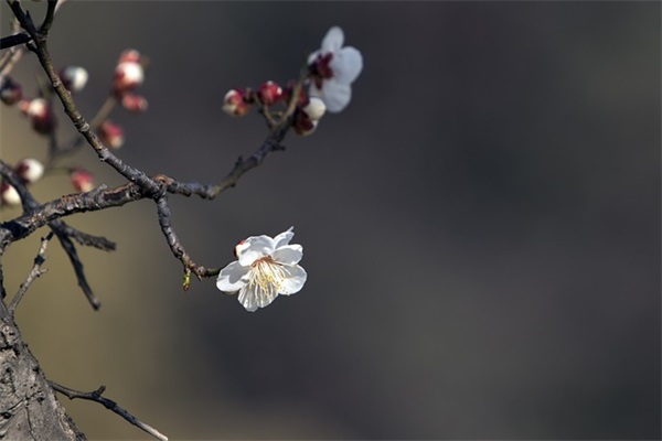 王者男生搞怪网名