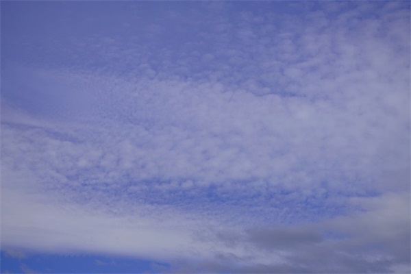 很肾虚的网名男生